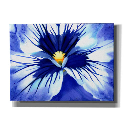 Image of 'Pansy Splash' by Louise Montillio, Canvas Wall Art