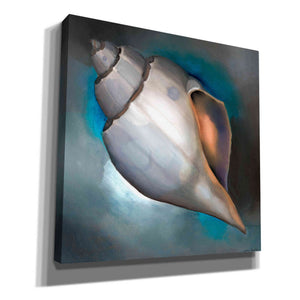 'Sea Shell Glow' by Louise Montillio, Canvas Wall Art