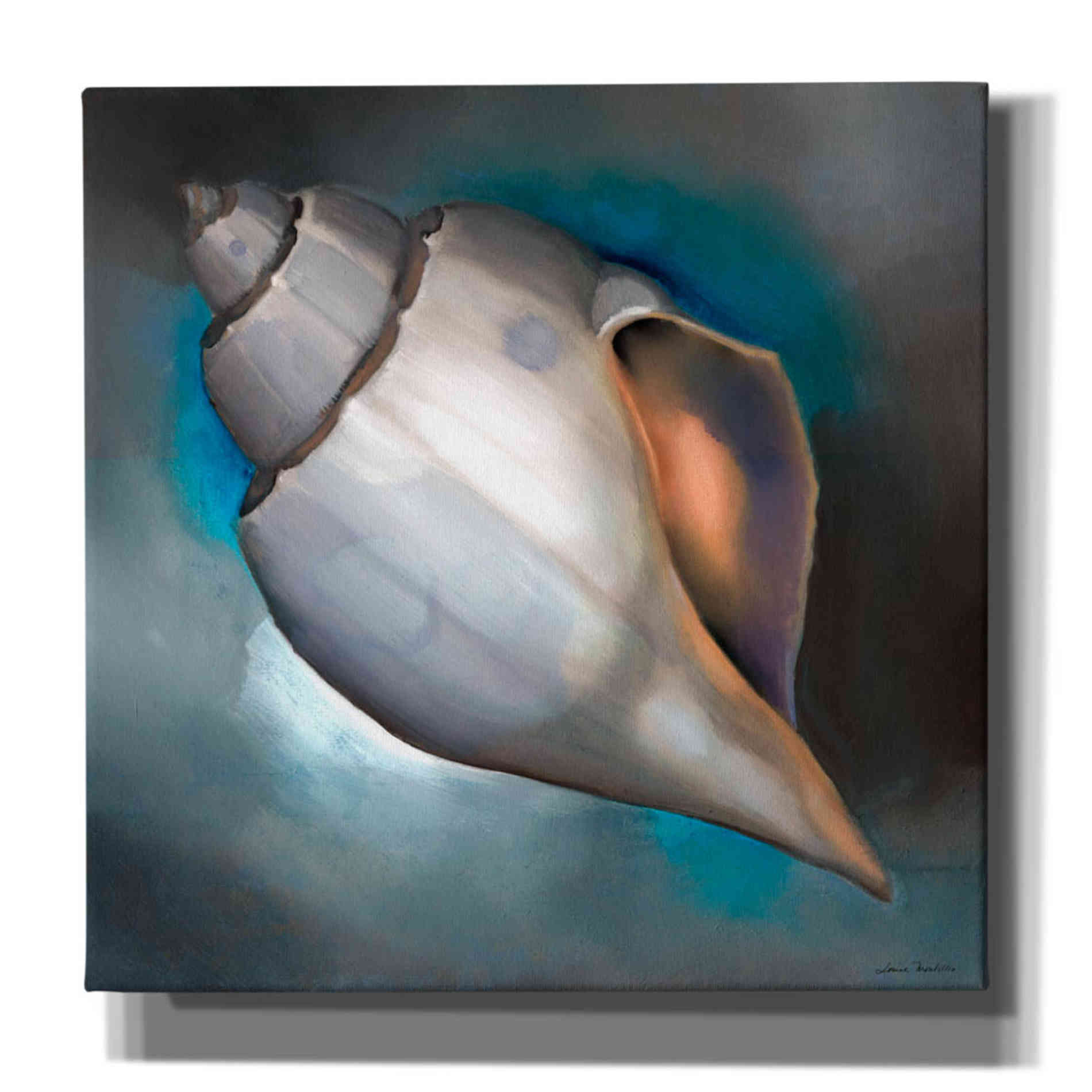 'Sea Shell Glow' by Louise Montillio, Canvas Wall Art
