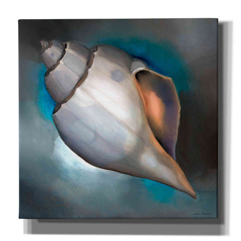 Image of 'Sea Shell Glow' by Louise Montillio, Canvas Wall Art