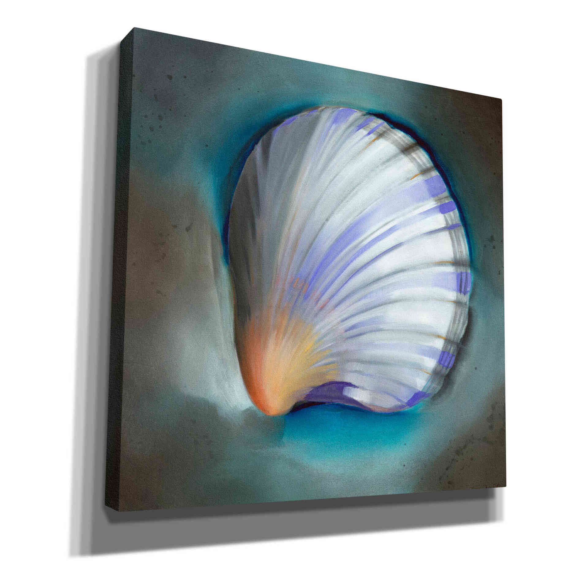 'Clam Shell Glow' by Louise Montillio, Canvas Wall Art