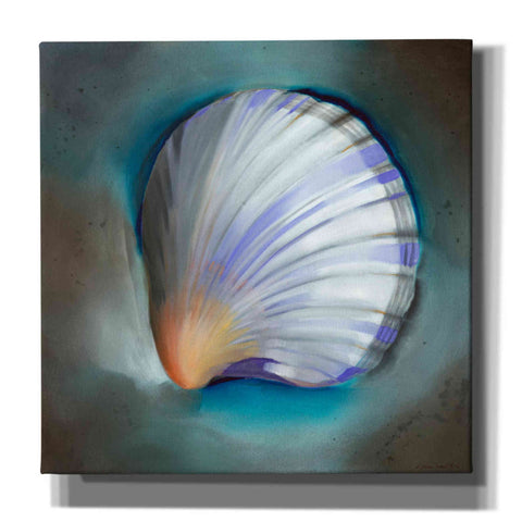 Image of 'Clam Shell Glow' by Louise Montillio, Canvas Wall Art