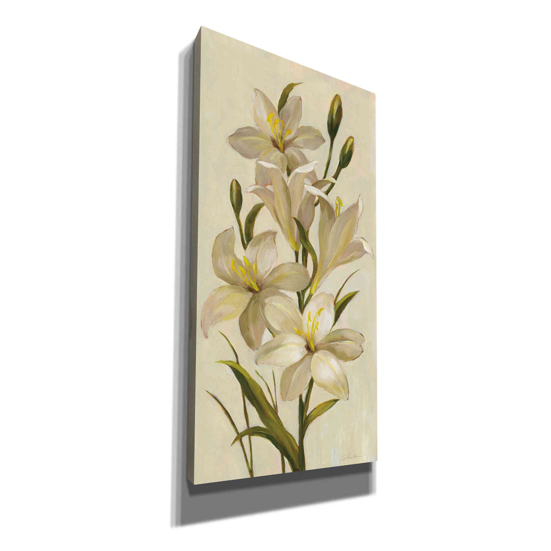 'Elegant White Florals I' by Silvia Vassileva, Canvas Wall Art