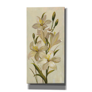 'Elegant White Florals I' by Silvia Vassileva, Canvas Wall Art
