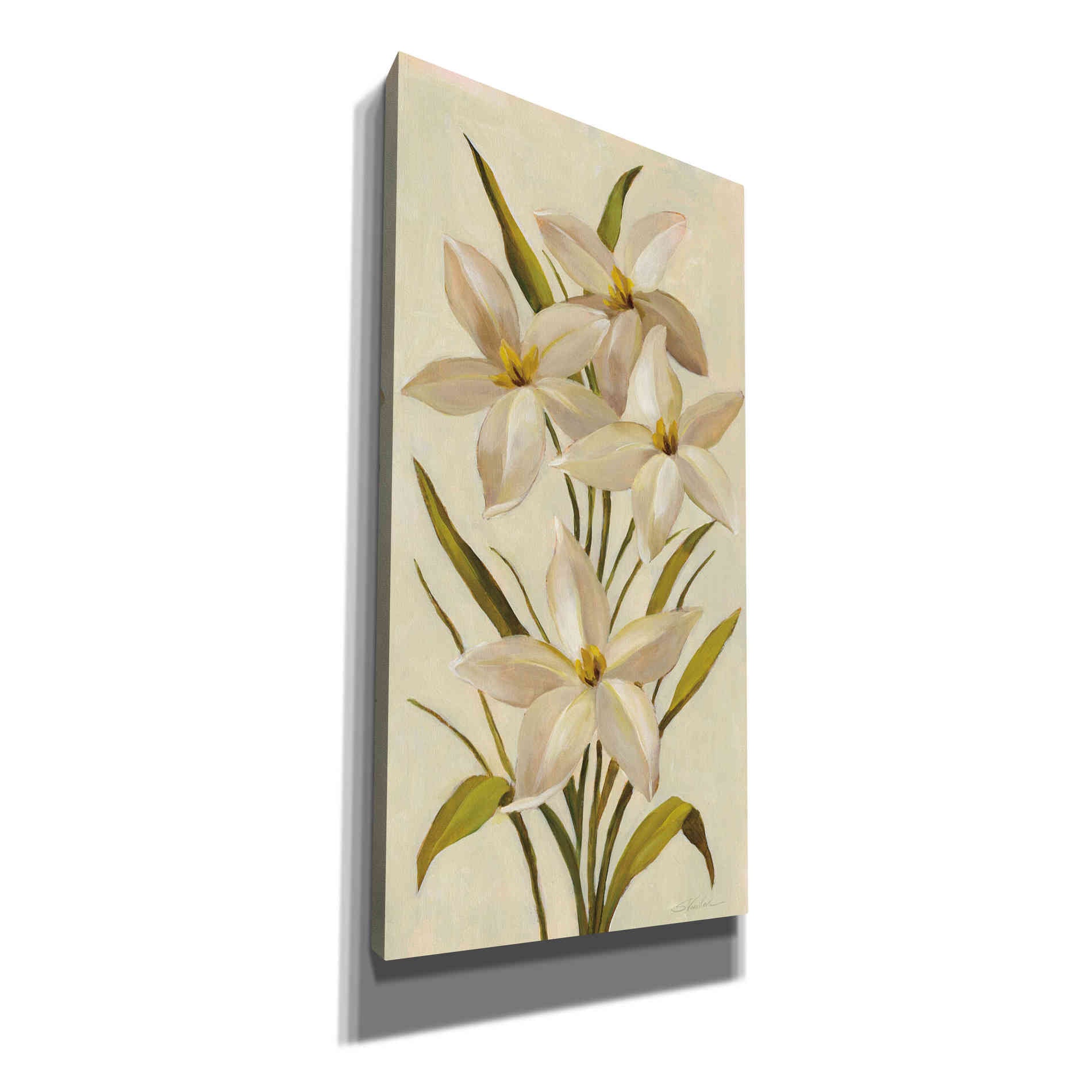 'Elegant White Florals II' by Silvia Vassileva, Canvas Wall Art