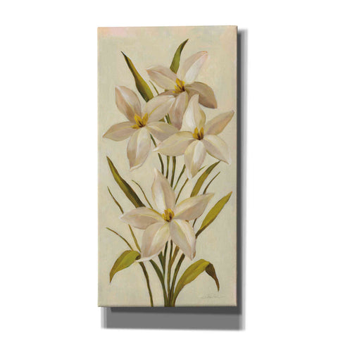 Image of 'Elegant White Florals II' by Silvia Vassileva, Canvas Wall Art