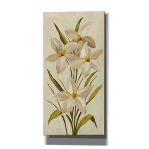 'Elegant White Florals II' by Silvia Vassileva, Canvas Wall Art