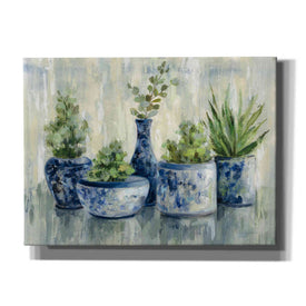 'Chinoiserie Plants' by Silvia Vassileva, Canvas Wall Art