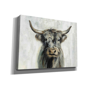 'Highland Cow Horizontal' by Silvia Vassileva, Canvas Wall Art