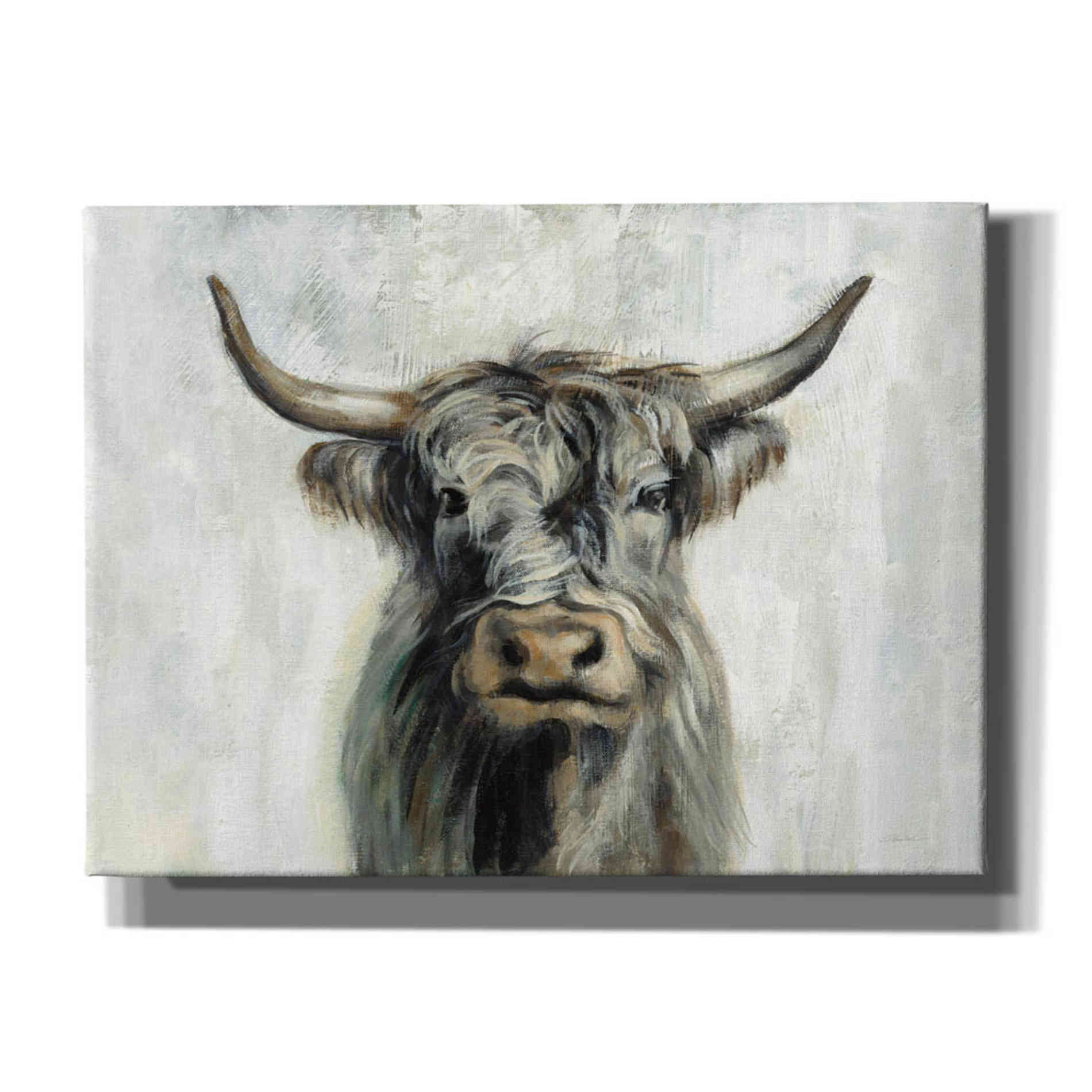 'Highland Cow Horizontal' by Silvia Vassileva, Canvas Wall Art