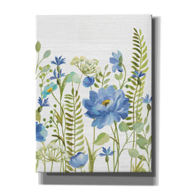 'Botanical Blue VIII' by Silvia Vassileva, Canvas Wall Art