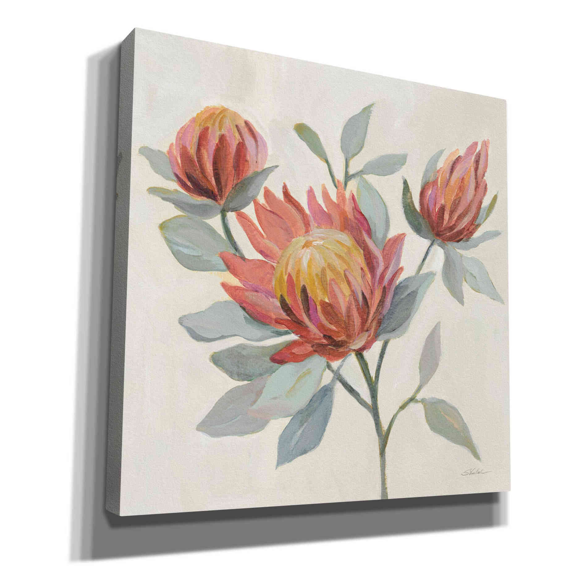'Field Bloom II' by Silvia Vassileva, Canvas Wall Art