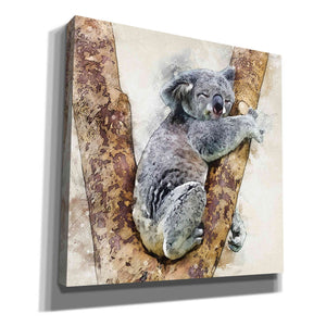 'Koala 4' by Kim Curinga, Canvas Wall Art