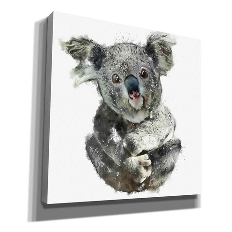 Image of 'Koala Cuddle' by Kim Curinga, Canvas Wall Art