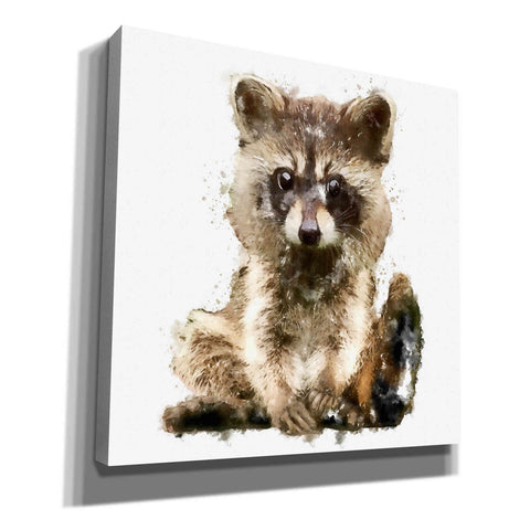 Image of 'Ricky Racoon' by Kim Curinga, Canvas Wall Art