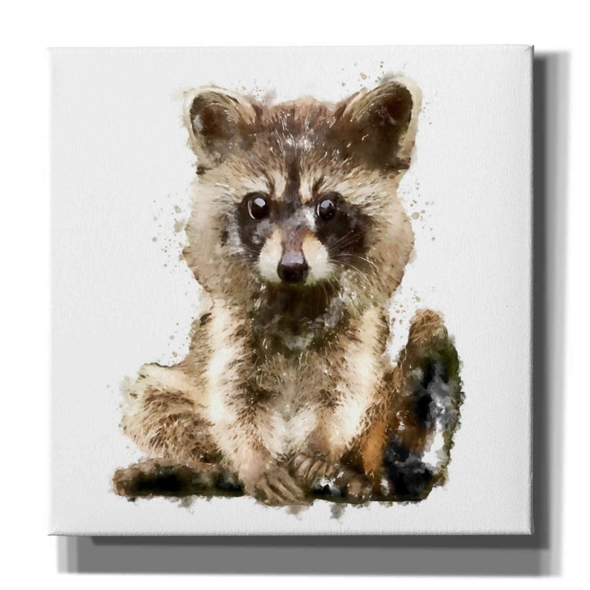 'Ricky Racoon' by Kim Curinga, Canvas Wall Art