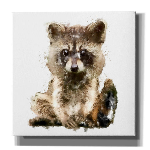 Image of 'Ricky Racoon' by Kim Curinga, Canvas Wall Art