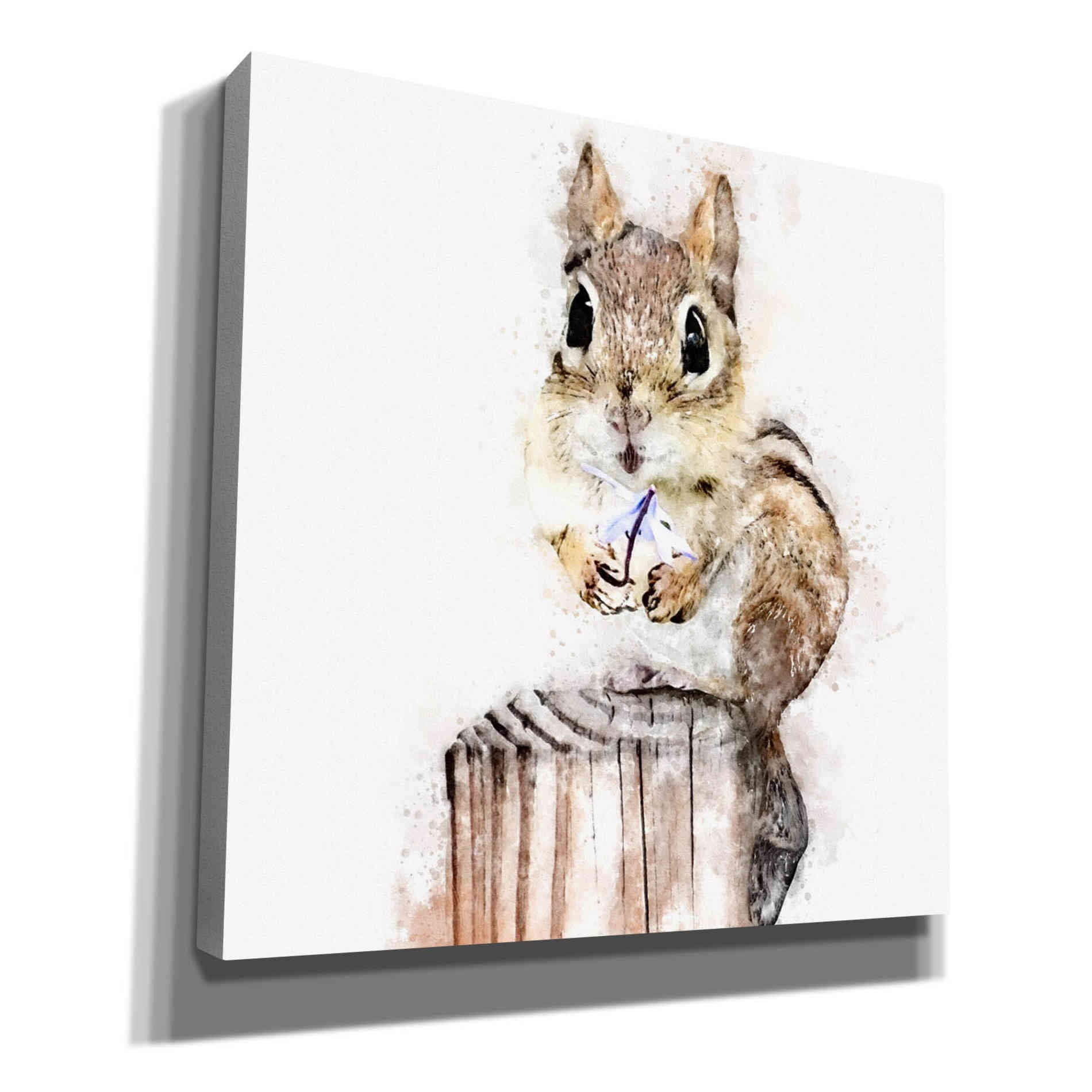 'Chippy With Flower' by Kim Curinga, Canvas Wall Art