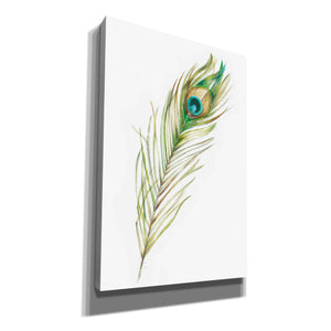 "Watercolor Peacock Feather II" by Ethan Harper, Canvas Wall Art