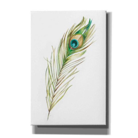 Image of "Watercolor Peacock Feather II" by Ethan Harper, Canvas Wall Art