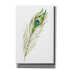 "Watercolor Peacock Feather II" by Ethan Harper, Canvas Wall Art