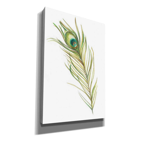 Image of "Watercolor Peacock Feather I" by Ethan Harper, Canvas Wall Art