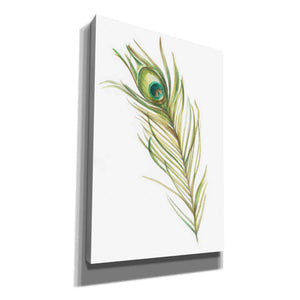 "Watercolor Peacock Feather I" by Ethan Harper, Canvas Wall Art