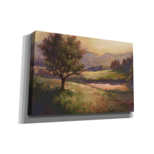 "Foothills of Appalachia I" by Ethan Harper, Canvas Wall Art