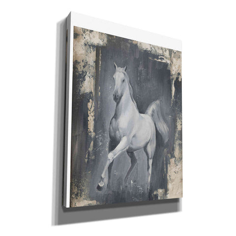 Image of "Running Stallion II" by Ethan Harper, Canvas Wall Art