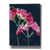 'Geraniums' by Linda Woods, Canvas Wall Art