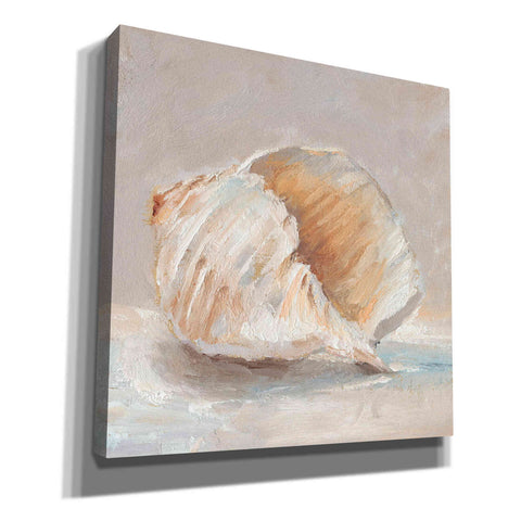 Image of "Impressionist Shell Study IV" by Ethan Harper, Canvas Wall Art