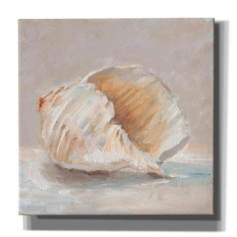 Image of "Impressionist Shell Study IV" by Ethan Harper, Canvas Wall Art