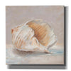 "Impressionist Shell Study IV" by Ethan Harper, Canvas Wall Art