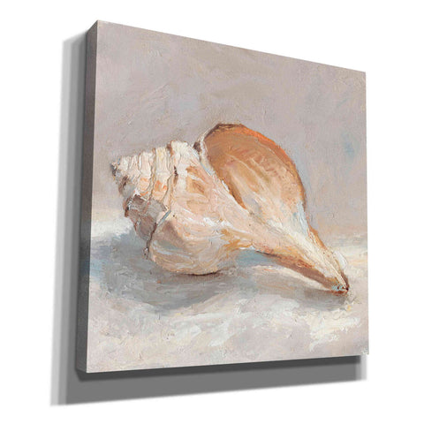 Image of "Impressionist Shell Study III" by Ethan Harper, Canvas Wall Art