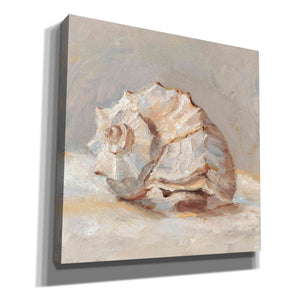 "Impressionist Shell Study II" by Ethan Harper, Canvas Wall Art