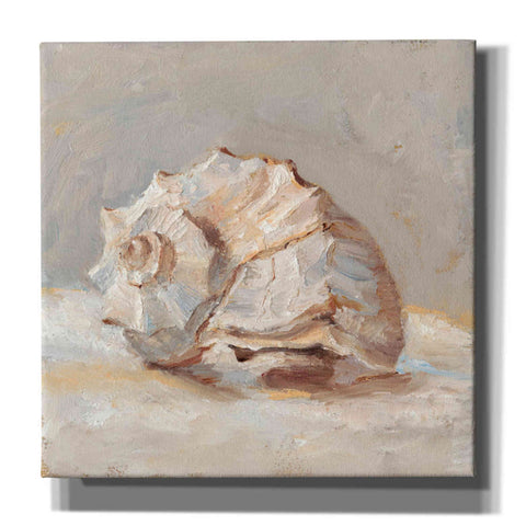 Image of "Impressionist Shell Study II" by Ethan Harper, Canvas Wall Art