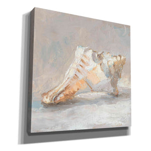 "Impressionist Shell Study I" by Ethan Harper, Canvas Wall Art