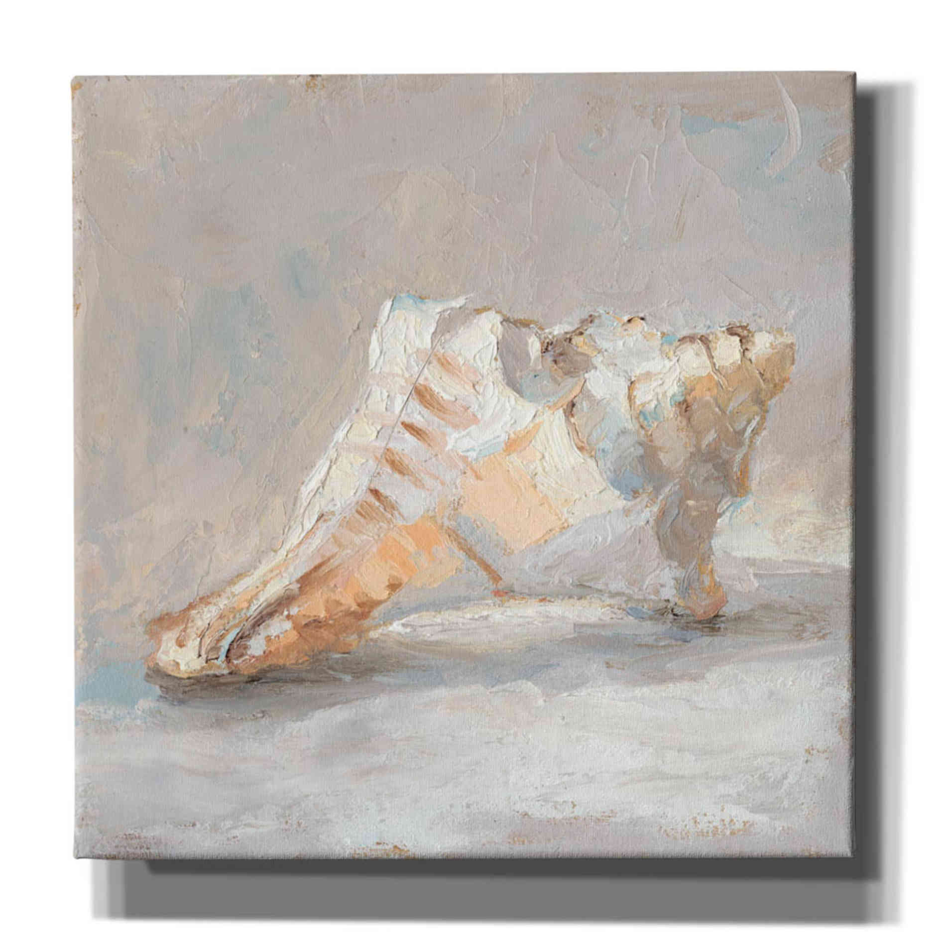 "Impressionist Shell Study I" by Ethan Harper, Canvas Wall Art