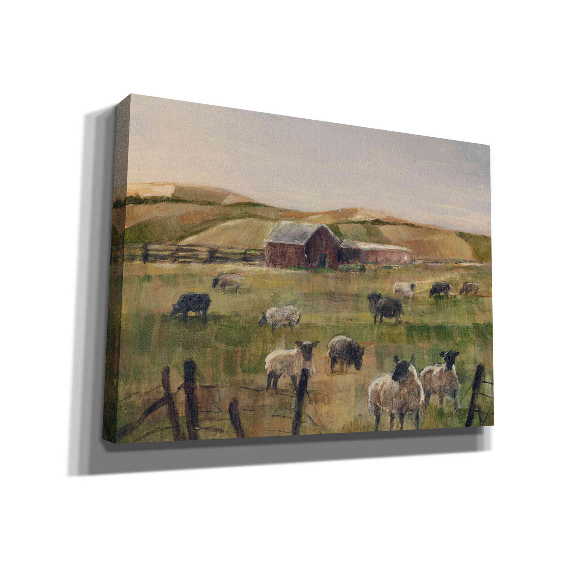 "Grazing Sheep II" by Ethan Harper, Canvas Wall Art