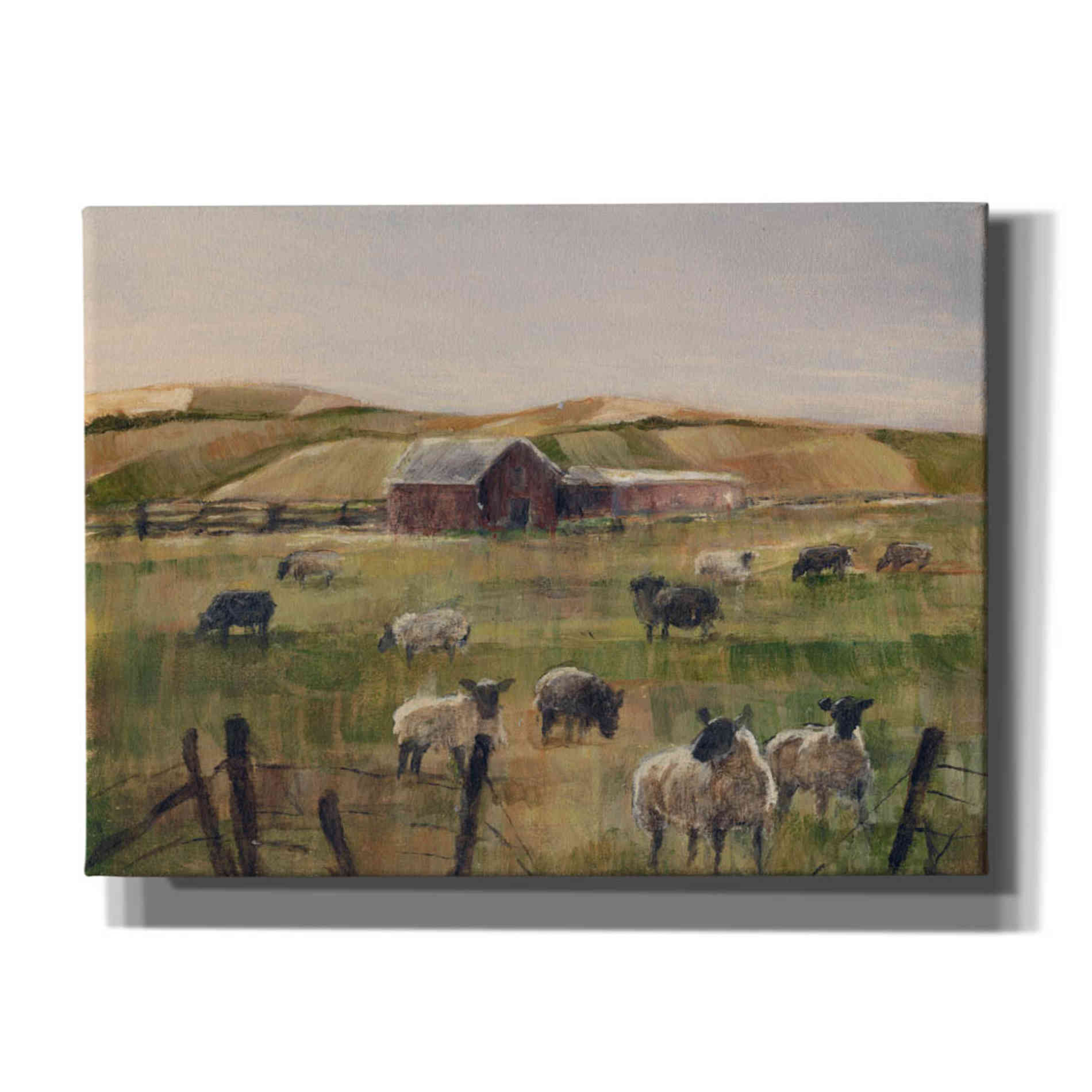 "Grazing Sheep II" by Ethan Harper, Canvas Wall Art