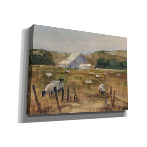 Image of "Grazing Sheep I" by Ethan Harper, Canvas Wall Art