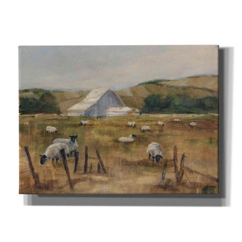 Image of "Grazing Sheep I" by Ethan Harper, Canvas Wall Art