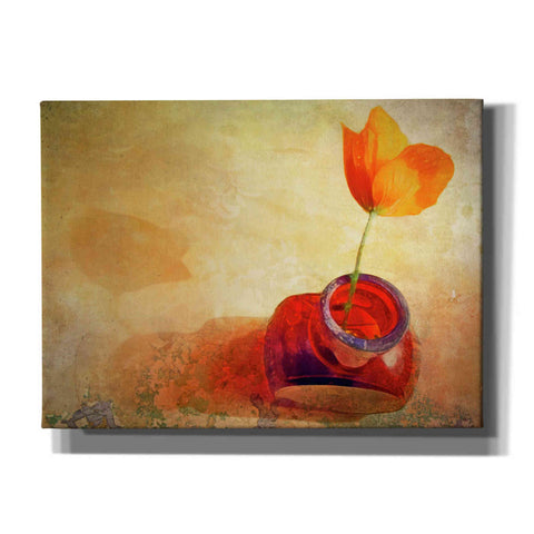 Image of "Orange Poppy In Brown Bottle" by Hal Halli, Canvas Wall Art
