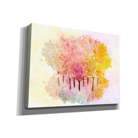 "Pastel Grove" by Hal Halli, Canvas Wall Art