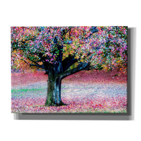 "Autumn Pastel Impression" by Hal Halli, Canvas Wall Art