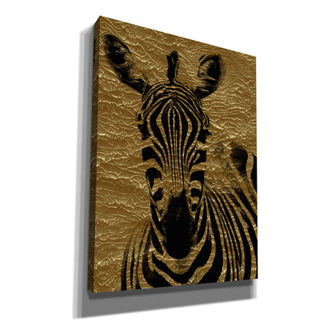"Zebra 1" by Hal Halli, Canvas Wall Art