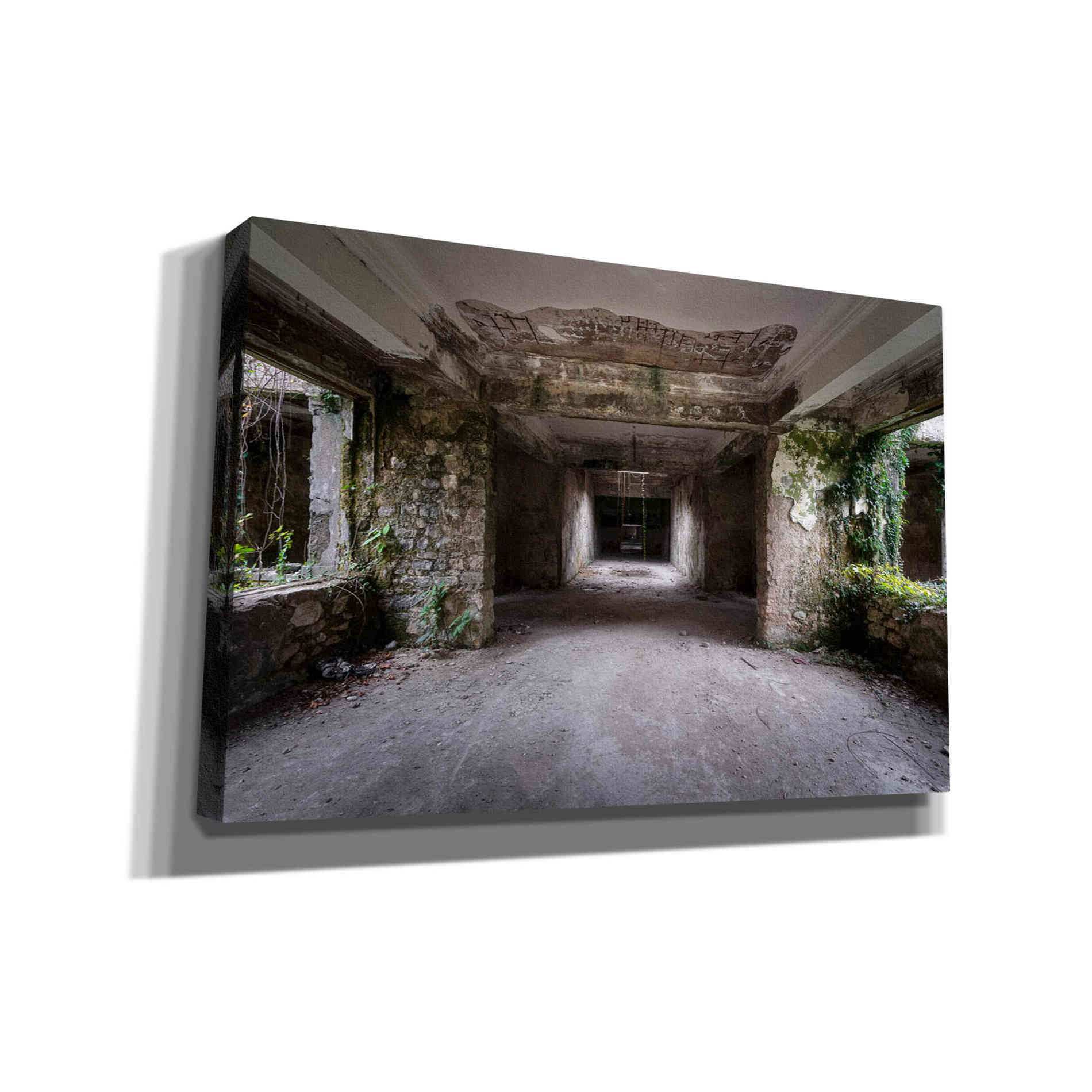 'Scary Dark Hall' by Roman Robroek, Canvas Wall Art