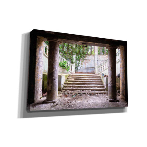 Image of 'Overgrown Stairs' by Roman Robroek, Canvas Wall Art