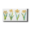 'Spring Has Sprung VII' by Courtney Prahl, Canvas Wall Art