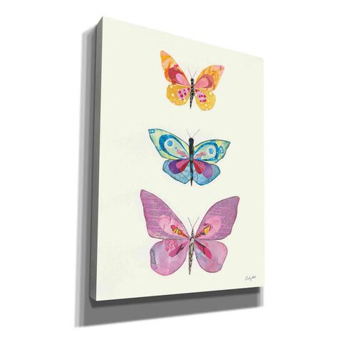 Image of 'Butterfly Charts III' by Courtney Prahl, Canvas Wall Art